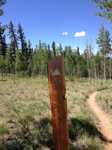 CT Trail Marker