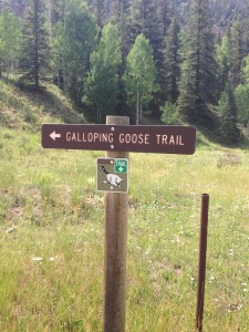 gallopingoosetrail