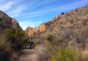 ReillyCreekbed